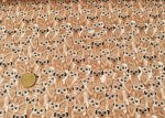Erdmännchen allover jersey with meerkats for children by Hilco